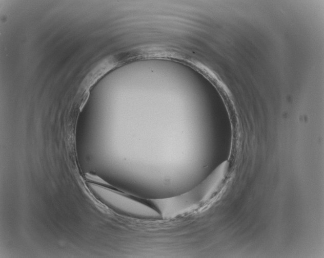 X0000080710897200701051006