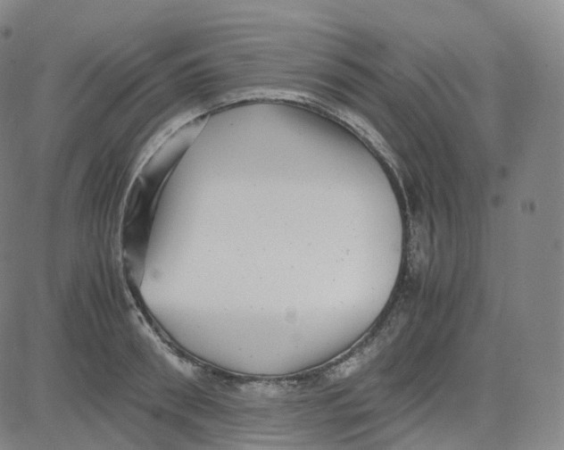 X0000080710898200701051006