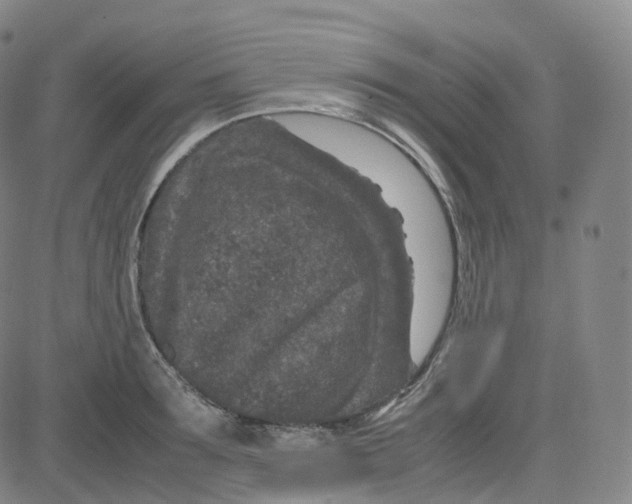 X0000080710899200701051006