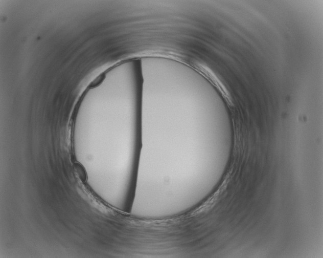 X0000080710900200701051006