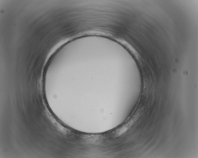 X0000080710902200701051006