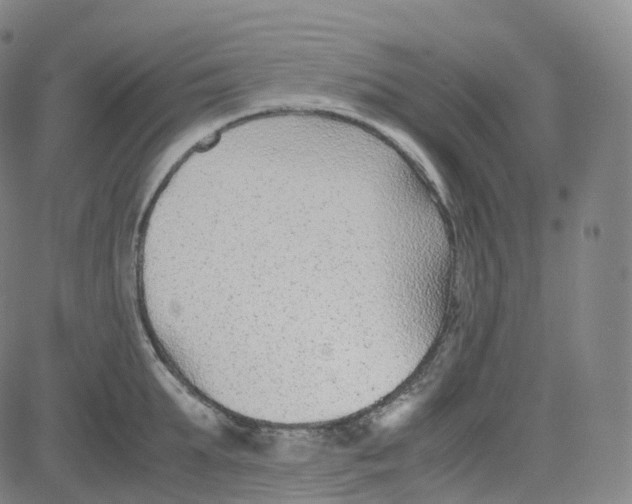 X0000080710903200701051006