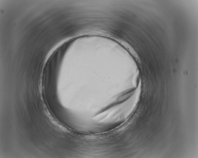 X0000080710904200701051006