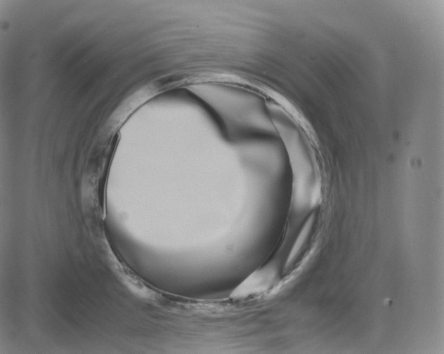 X0000080710905200701051006