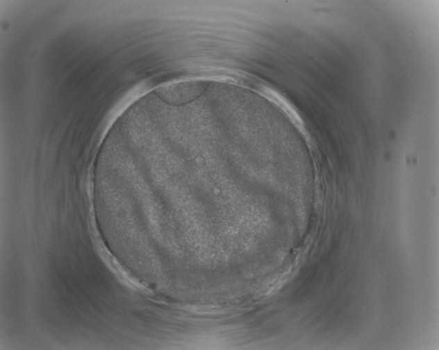 X0000080710907200701051006