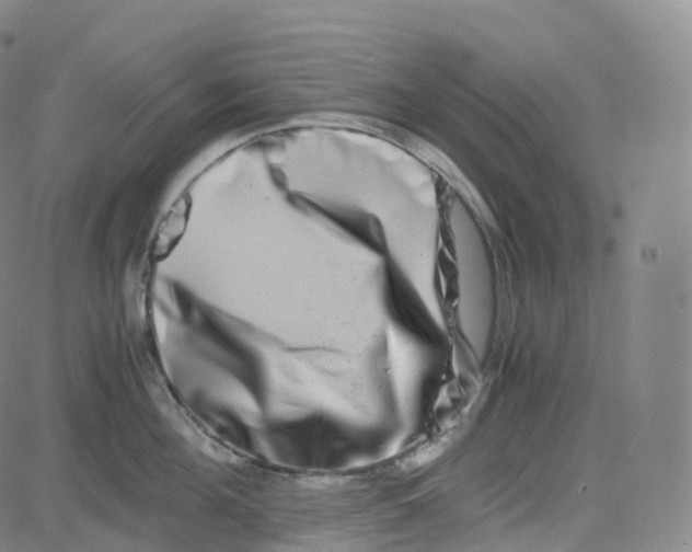 X0000080710908200701051006