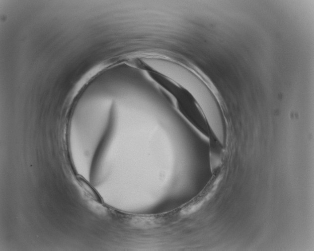 X0000080710909200701051006