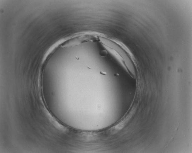 X0000080710910200701051006