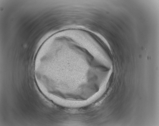 X0000080710911200701051006