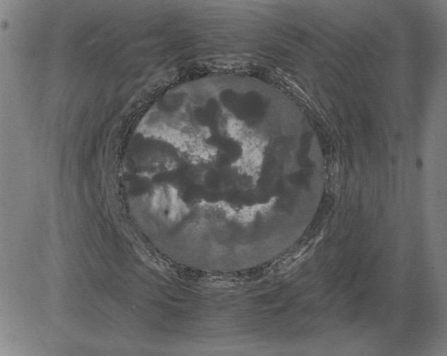 X0000080710913200701051005