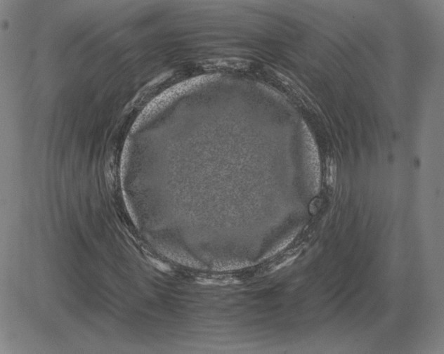 X0000080710915200701051005