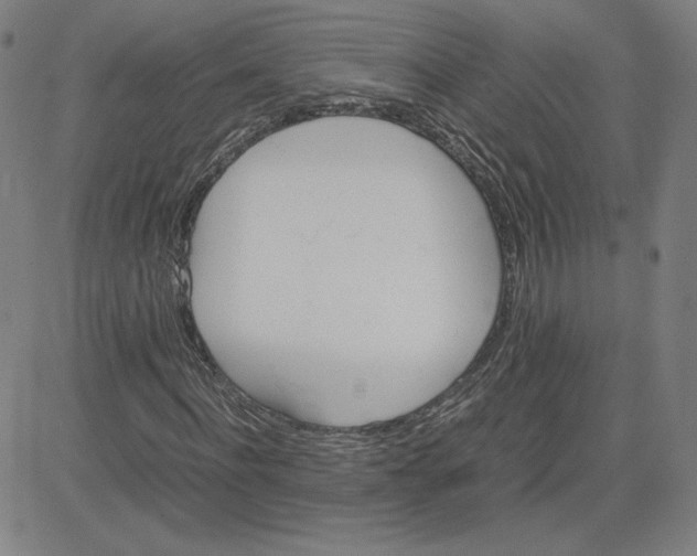 X0000080710916200701051005