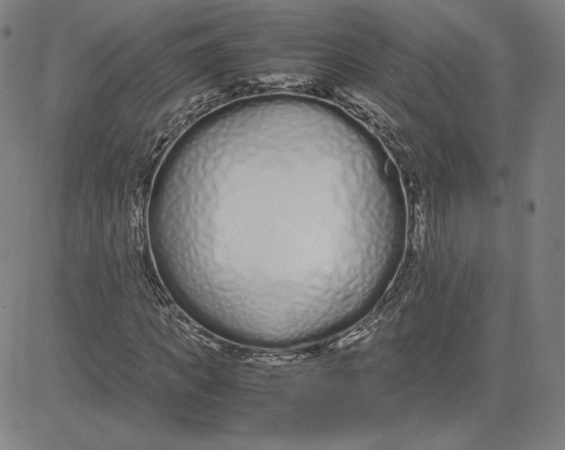 X0000080710917200701051005