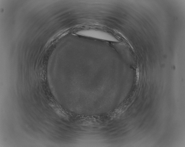 X0000080710919200701051005