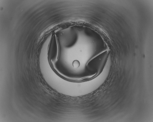 X0000080710920200701051005