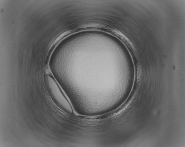 X0000080710921200701051005