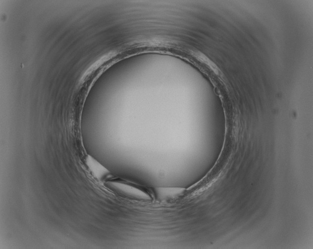 X0000080710922200701051005