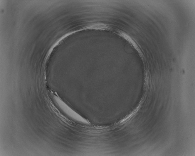 X0000080710923200701051006