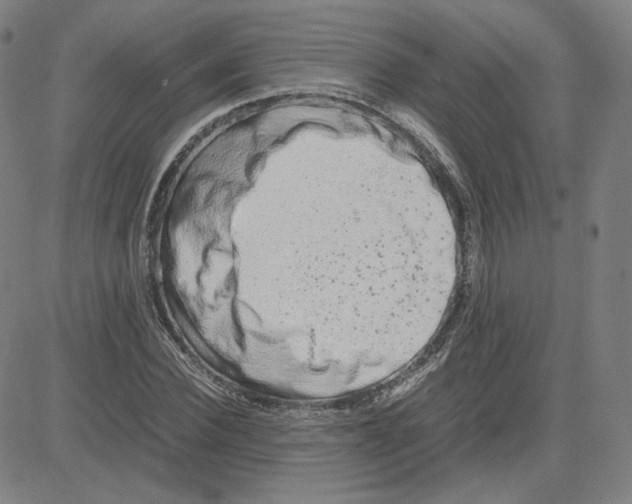 X0000080710924200701051006