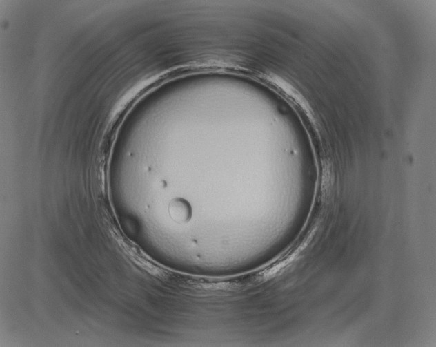 X0000080710925200701051006