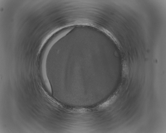 X0000080710926200701051006