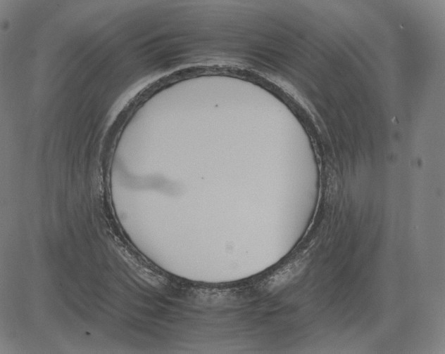 X0000080710927200701051006