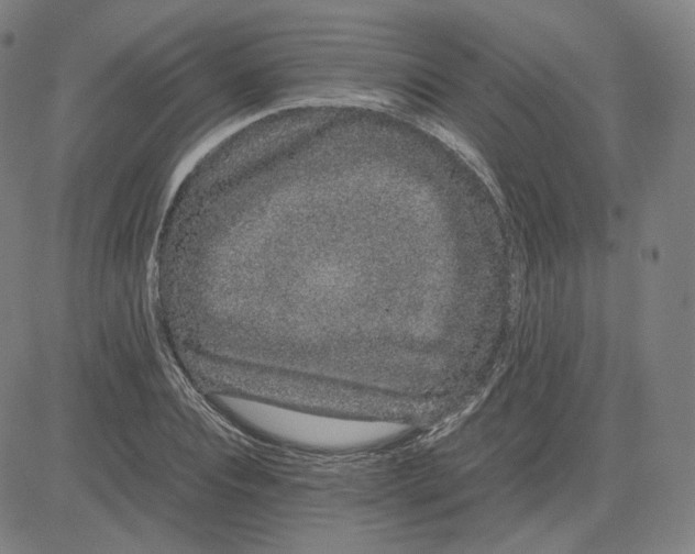 X0000080710928200701051006