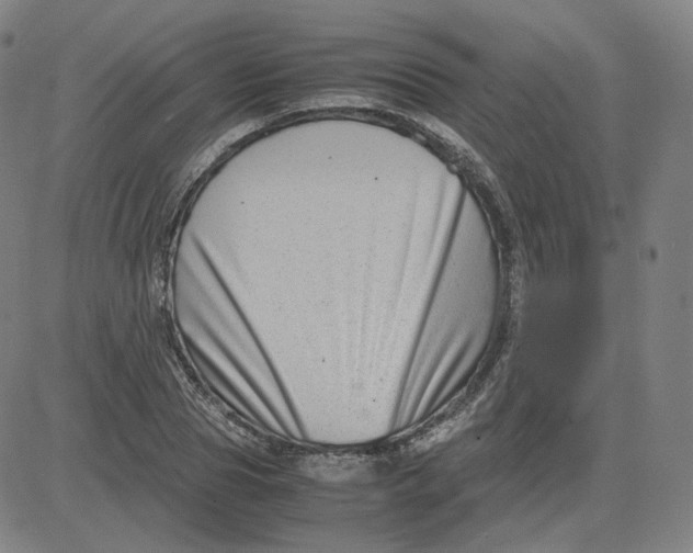 X0000080710929200701051006