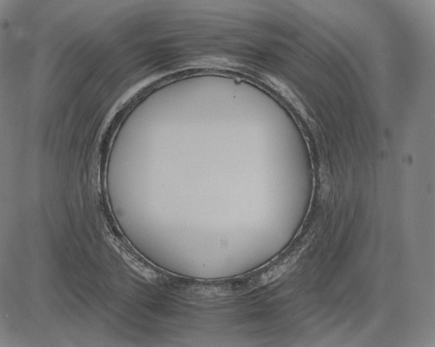 X0000080710931200701051006