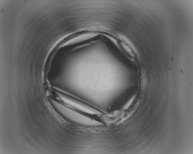 X0000080710932200701051006