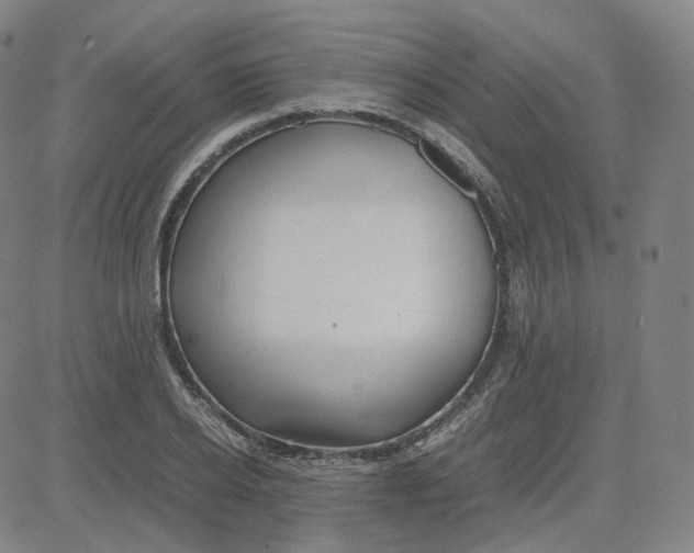 X0000080710934200701051006