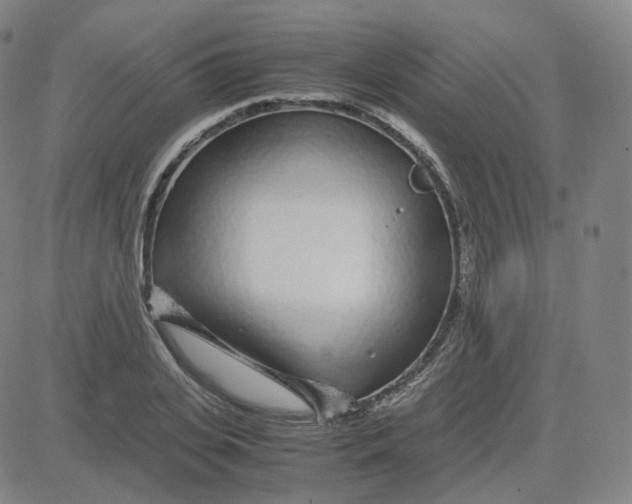 X0000080710935200701051006