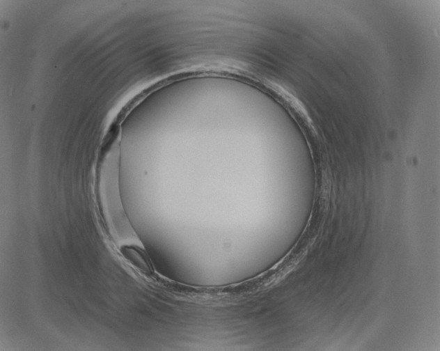 X0000080710936200701051006