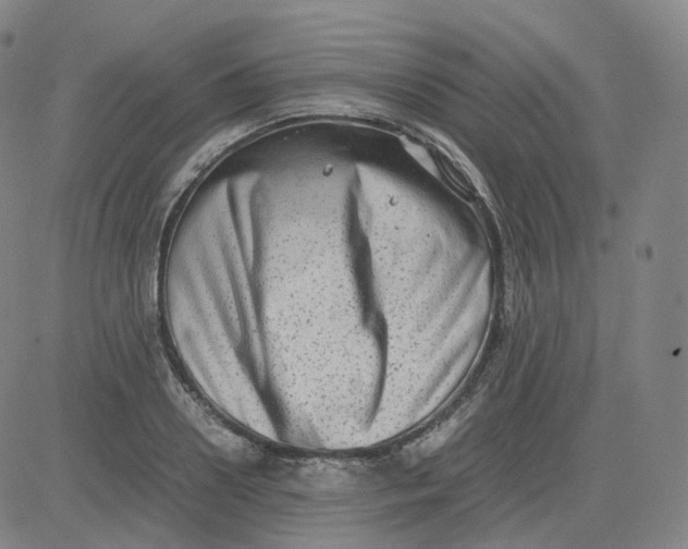 X0000080710938200701051006