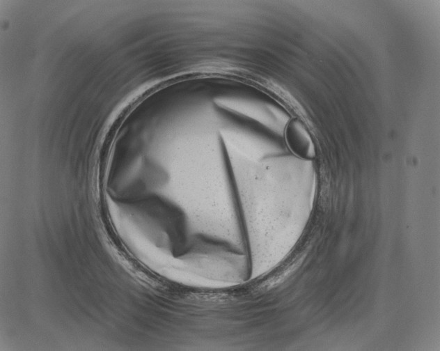 X0000080710939200701051006