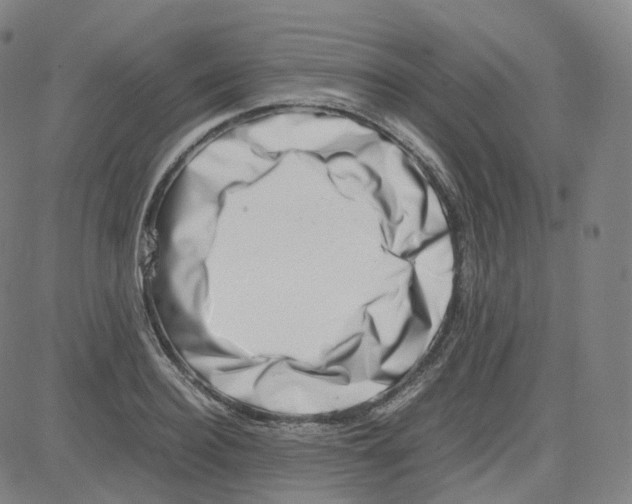 X0000080710940200701051006