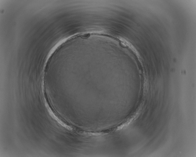 X0000080710941200701051006