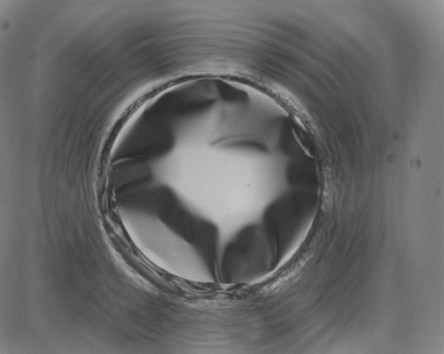 X0000080710942200701051006