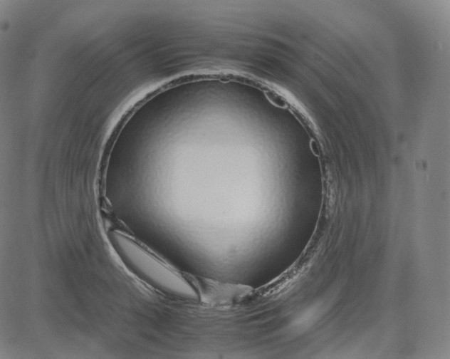 X0000080710943200701051006