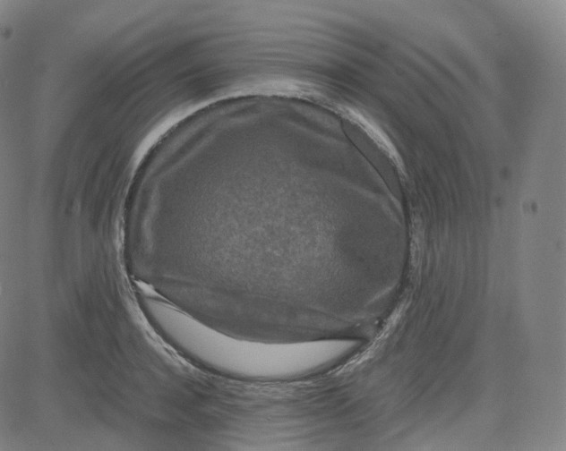 X0000080710944200701051006