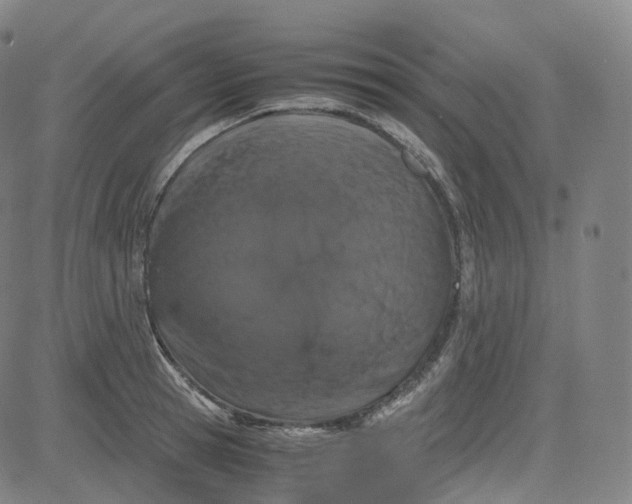 X0000080710945200701051006