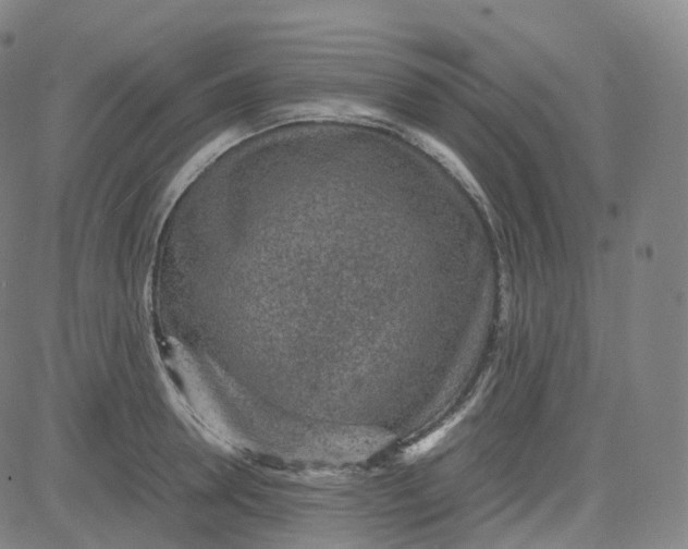 X0000080710946200701051006