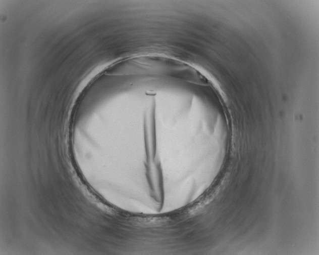 X0000080710949200701051006