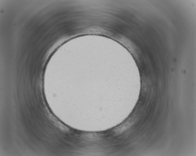 X0000080710950200701051006