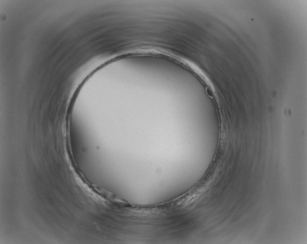 X0000080710951200701051006