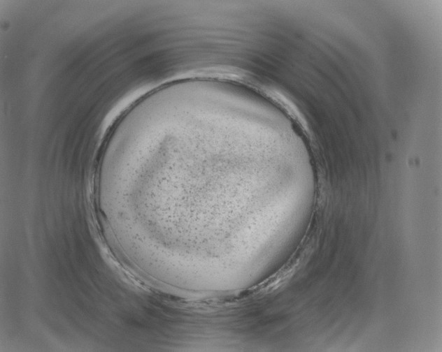 X0000080710952200701051006