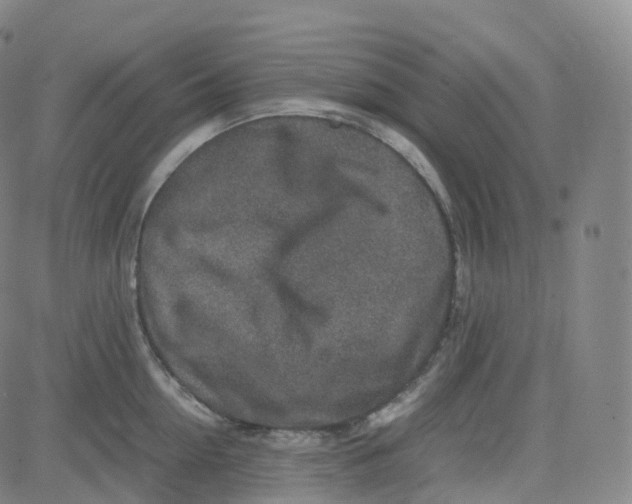 X0000080710954200701051006