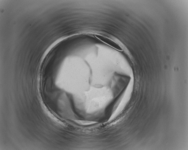 X0000080710955200701051006