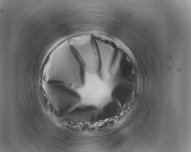 X0000080710956200701051006