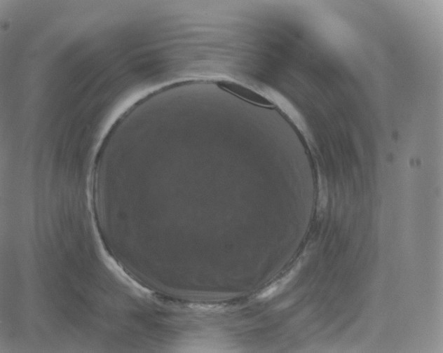 X0000080710958200701051006